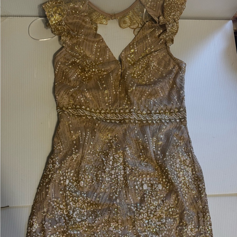 Hello Molly Beige and Gold Dress